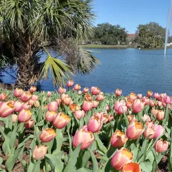 City Park - New Orleans