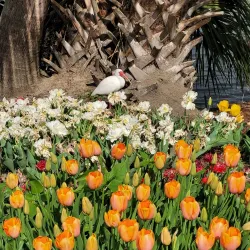 City Park - New Orleans