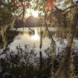 City Park - New Orleans