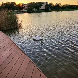 City Park - New Orleans