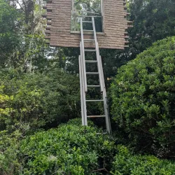 New Orleans Museum of Art (NOMA) - New Orleans