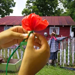 Creole Heritage Center - Opelousas