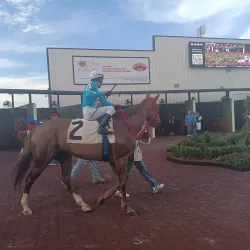 Evangeline Downs Racetrack & Casino - Opelousas
