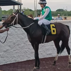 Evangeline Downs Racetrack & Casino - Opelousas