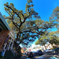 Opelousas Historic District - Opelousas