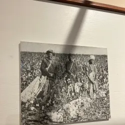 Opelousas Museum and Interpretive Center - Opelousas