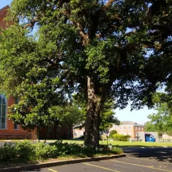 St. Landry Catholic Church - Opelousas