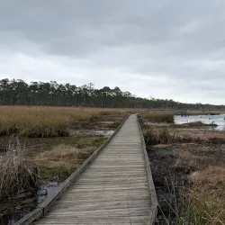Big Branch Marsh National Wildlife Refuge - Slidell
