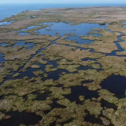 Big Branch Marsh National Wildlife Refuge - Slidell