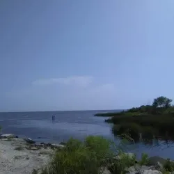 Big Branch Marsh National Wildlife Refuge - Slidell