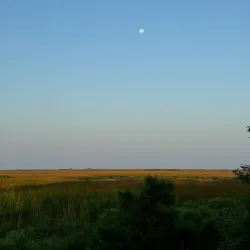 Big Branch Marsh National Wildlife Refuge - Slidell
