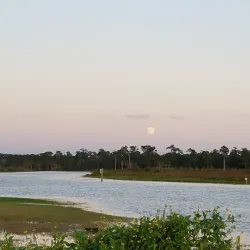 Big Branch Marsh National Wildlife Refuge - Slidell