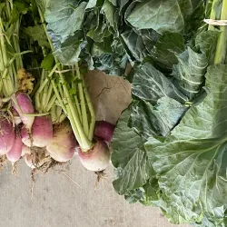 Slidell Farmers Market - Slidell