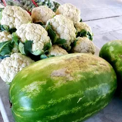 Slidell Farmers Market - Slidell