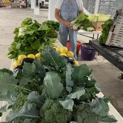 Slidell Farmers Market - Slidell