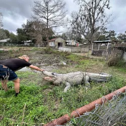 Bayou Terrebonne Waterlife Museum - Thibodaux