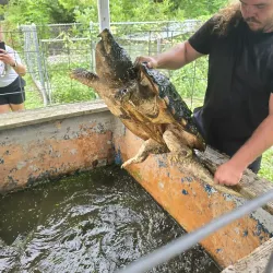 Bayou Terrebonne Waterlife Museum - Thibodaux