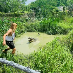 Bayou Terrebonne Waterlife Museum - Thibodaux