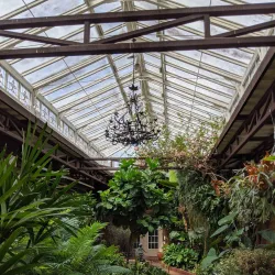 Biedenharn Museum and Gardens - West Monroe