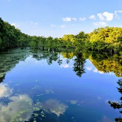 Black Bayou Lake National Wildlife Refuge - West Monroe