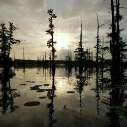 Black Bayou Lake National Wildlife Refuge - West Monroe