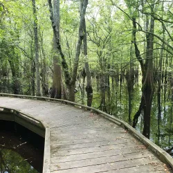 Black Bayou Lake National Wildlife Refuge - West Monroe
