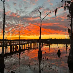 Black Bayou Lake National Wildlife Refuge - West Monroe