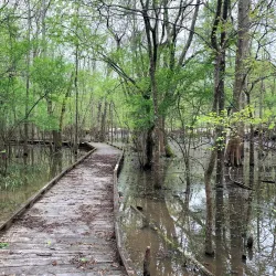 Black Bayou Lake National Wildlife Refuge - West Monroe