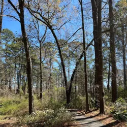 Kiroli Park - West Monroe