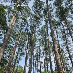 Kiroli Park - West Monroe