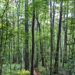 Kiroli Park - West Monroe