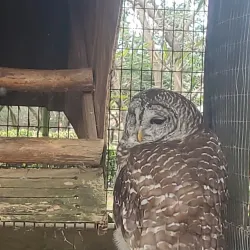 Louisiana Purchase Gardens and Zoo - West Monroe