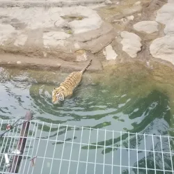 Louisiana Purchase Gardens and Zoo - West Monroe