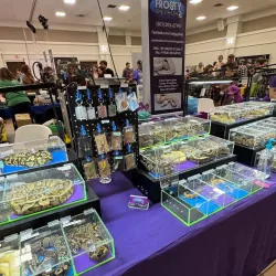 West Monroe Convention Center - West Monroe