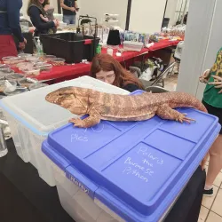 West Monroe Convention Center - West Monroe