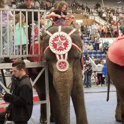 Augusta Civic Center - Augusta