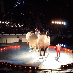 Augusta Civic Center - Augusta