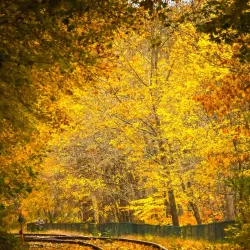 Kennebec River Rail Trail - Augusta