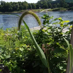 Kennebec River Rail Trail - Augusta
