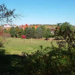 Viles Arboretum - Augusta