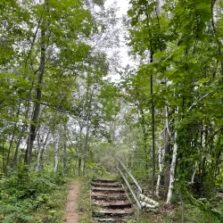 Viles Arboretum - Augusta