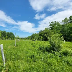 Viles Arboretum - Augusta