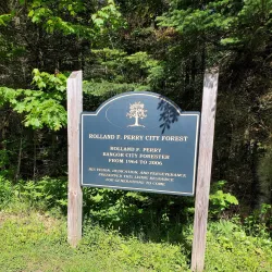 Bangor City Forest - Bangor