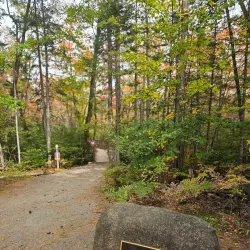 Bangor City Forest - Bangor