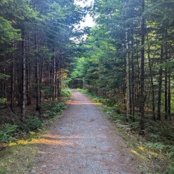 Bangor City Forest - Bangor