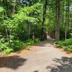 Bangor City Forest - Bangor