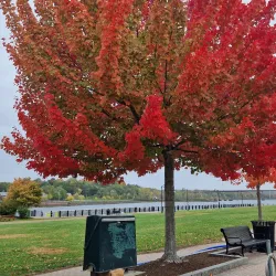 Bangor Waterfront - Bangor