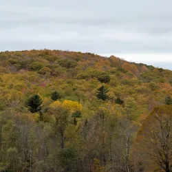 Bangor Waterfront - Bangor