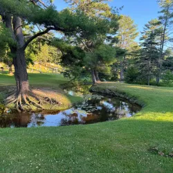 Mount Hope Cemetery - Bangor