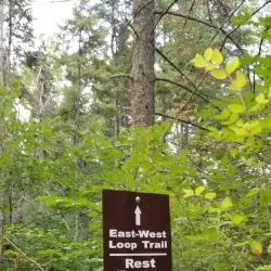 Orono Bog Boardwalk - Bangor